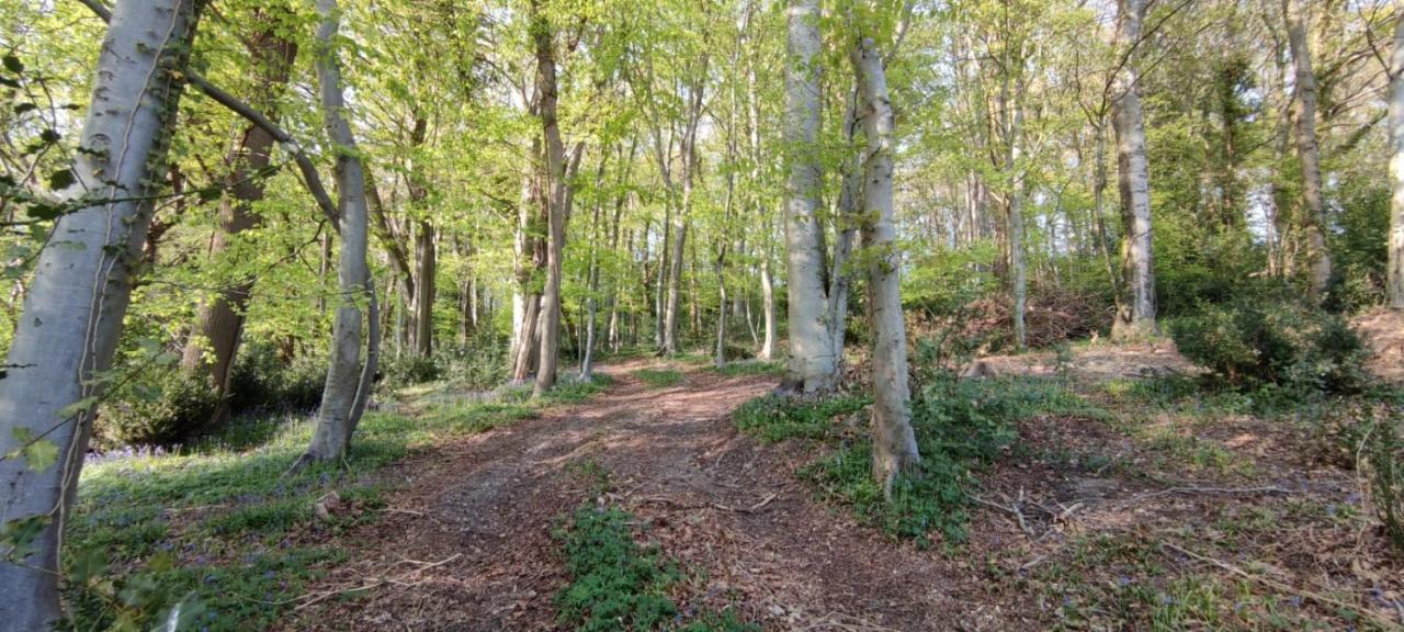 Gites 4,6 Personnes Fecamp Etretat Colleville Eksteriør bilde